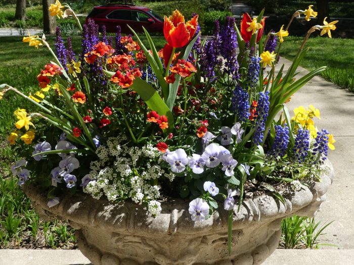 Season Containers All Season Containers - The Garden Diaries